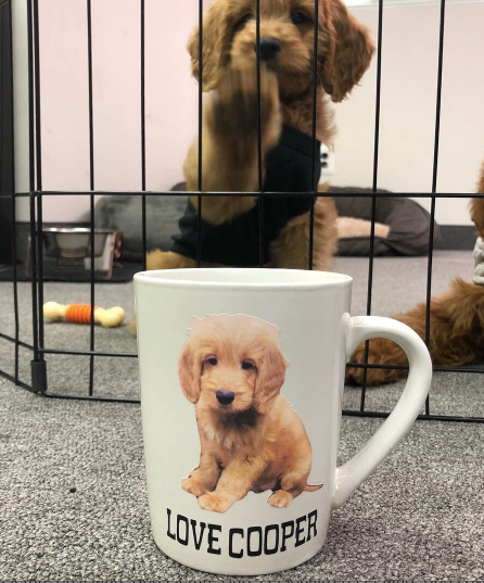 Custom Photo Mug, Perfect for Pets, Babies, Families, or any Loved One